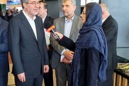 شرکت های بیمه ای بدون ارزیابی ریسک و با شکستن قیمت ها به رقابت می پردازند + فیلم