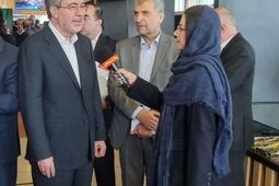 شرکت های بیمه ای بدون ارزیابی ریسک و با شکستن قیمت ها به رقابت می پردازند + فیلم