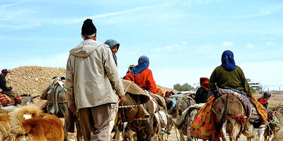 700 خانوار روستایی خراسان شمالی بیمه تامین اجتماعی شدند
