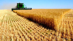 پیک قیمتی محصولات کشاورزی در سال ۲۰۲۲ به علت جنگ روسیه و اوکراین