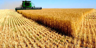 اجرای الگوی کشت سطح زیرکشت محصولات کشاورزی را افزایش خواهد داد