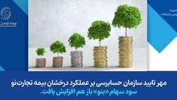 مهر تایید سازمان حسابرسی بر سودسازی بیمه تجارت‌نو
