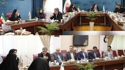 بانوی ایرانی نام محصول جدید بیمه ایران باهدف تامین آرامش زنان کشور/ ایران، پشتوانه‌ای مطمئن برای زنان ایرانی