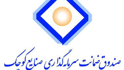 درآمد صندوق سرمایه گذاری صنایع کوچک ازسپرده های بانکی به 37 میلیارد تومان رسید