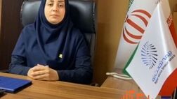 فروش شعبه زنجان بیمه تجارت‌نو  731 درصد رشد کرد
