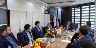 بیمه سینا حاضر به افزایش فروش به هر قیمتی نیست