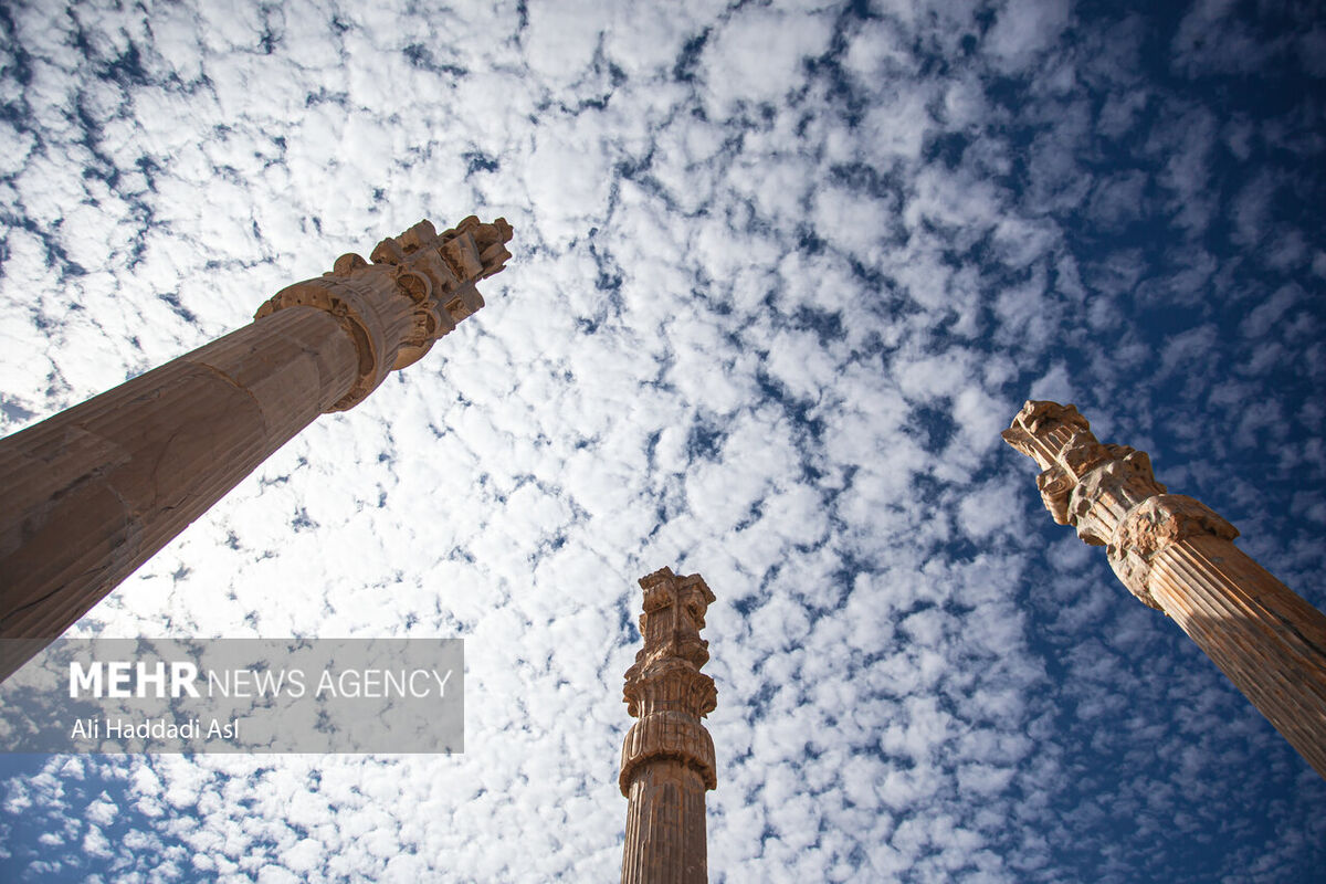 5139130__MG_0878