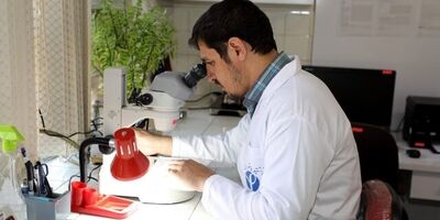 سالانه یک میلیون مورد مرگ ناشی از بیماری‌های انگلی در دنیا رخ می‌دهد