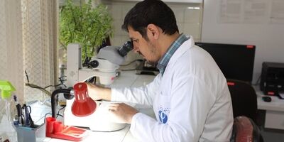 سالانه یک میلیون مورد مرگ ناشی از بیماری‌های انگلی در دنیا رخ می‌دهد