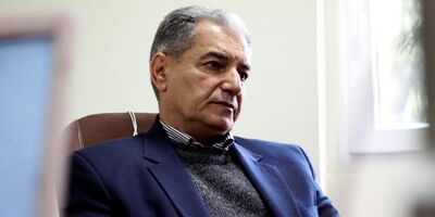 مشاوران اقتصادی دولت مقصرند
