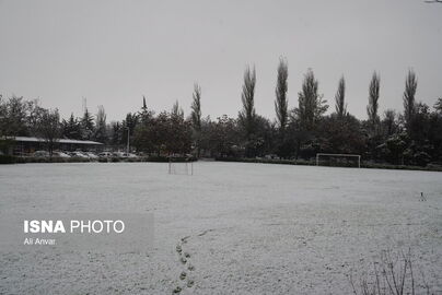 63220037_DSC05232