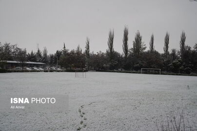 63220037_DSC05232