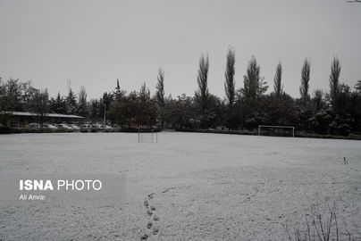 63220037_DSC05232
