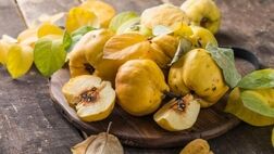 طرز تهیه دسر و غذا با به ؛ فوری و راحت برای کودک و بزرگسال
