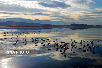 63316335_DJI_0139-copy