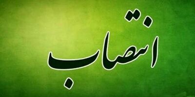 یک عضو هیأت مدیره بانک سپه منصوب شد
