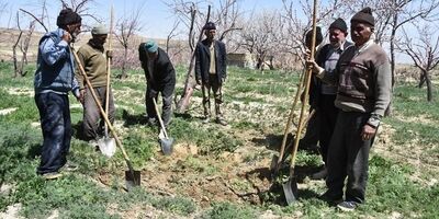رشد ۱۶۵ درصدی بودجه صندوق بیمه اجتماعی کشاورزان، روستاییان و عشایر