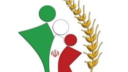 همسان‌سازی حقوق روستاییان برای صندوق بیمه عشایر ۵۳ درصد بار مالی داشت