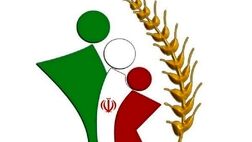 همسان‌سازی حقوق روستاییان برای صندوق بیمه عشایر ۵۳ درصد بار مالی داشت
