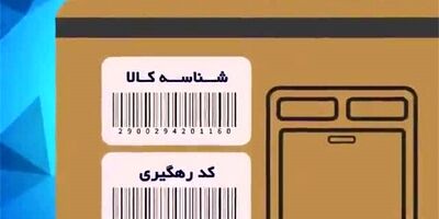 صدور بیش از ۳۱ هزار شناسه کالا در سال ۱۴۰۲