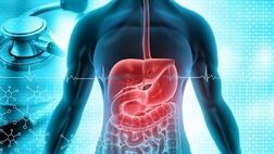 تاثیر ورزش‌ بر سلامتی روده
