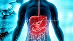 تاثیر ورزش‌ بر سلامتی روده
