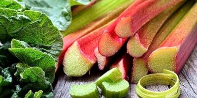 این افراد ریواس نخورند
