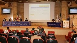 سرمایه بیمه پارسیان افزایش یافت