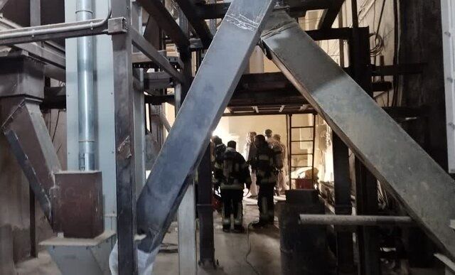 آتش‌سوزی در یک کارخانه تولید آرد در شیراز مهار شد
