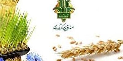 نارضایتی کشاورزان از بیمه محصولات کشاورزی
