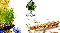 نارضایتی کشاورزان از بیمه محصولات کشاورزی
