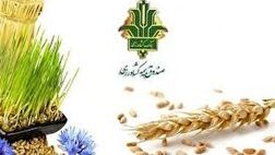 نارضایتی کشاورزان از بیمه محصولات کشاورزی
