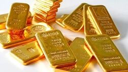 دستگیری سارق حرفه‌ای با کیفی پر از شمش و سکه طلا