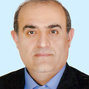 حمداله جمالی