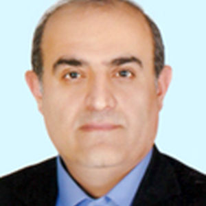 حمداله جمالی