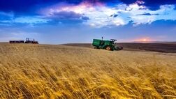 
کشت پاییزه در برخی استان‌ها به تاخیر افتاد