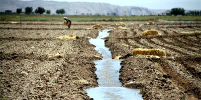 راندمان پایین آب در بخش کشاورزی به دلیل نبود مکانیسم اندازه‌گیری آب درکشور