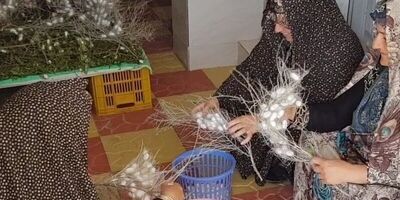 پرداخت وام اشتغال صندوق کارآفرینی امید در خراسان شمالی ۲.۵ برابر شد