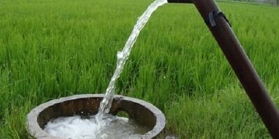 مصرف آب کشاورزی واقعا چقدر است؟؛ ۴۵ یا ۹۰ درصد؟