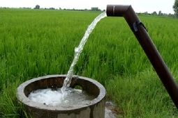 مدیریت مصرف برق برای کشاورزان به ۵ ساعت رسید