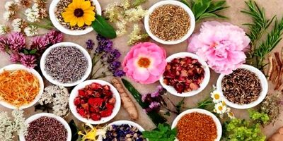 صادرات گیاهان دارویی به ۴۸۰ میلیون دلار رسید
