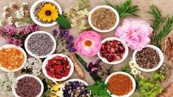 صادرات گیاهان دارویی به ۴۸۰ میلیون دلار رسید

