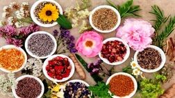 صادرات گیاهان دارویی به ۴۸۰ میلیون دلار رسید
