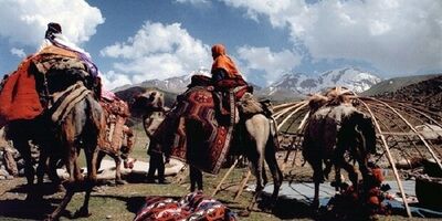 نمی‌توان با افزایش غیرمنطقی مستمری‌ها، تعادل منابع و مصارف صندوق عشایر را بر هم زد 