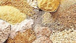 افزایش قیمت نهاده‌های دامی بر بازار گوشت چه اثری دارد؟
