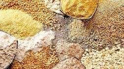 افزایش قیمت نهاده‌های دامی بر بازار گوشت چه اثری دارد؟
