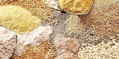 نابسامانی در بازار نهاده‌های دامی کماکان ادامه دارد؟
