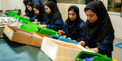 60درصد زنان جهان در شغل های غیر رسمی فعالیت دارند
