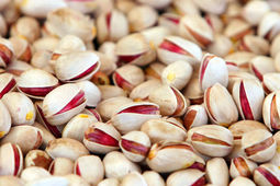 صادرات ۱.۷ میلیارد دلار پسته به ۷۳ کشور دنیا