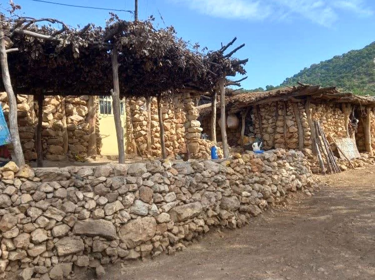 ۱۰۰ هزار خانه روستایی در مناطق حادثه‌خیز فارس بیمه رایگان حوادث می‌شوند
